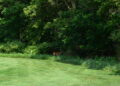 Charity Golf Outing 2024 DSC 0343 120x86